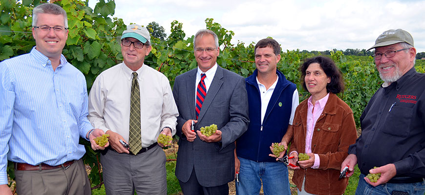 Photo: Executive Dean Bob Goodman in a vinyard.